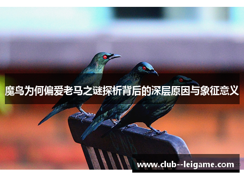 魔鸟为何偏爱老马之谜探析背后的深层原因与象征意义 魔鸟为何偏爱老马之谜探析背后的深层原因与象征意义